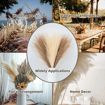 Fluffy Pampas Grass Boho Decor 55 cm